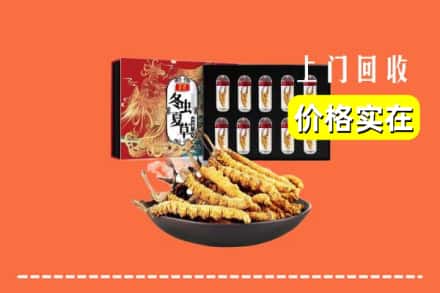 岱山县回收冬虫夏草