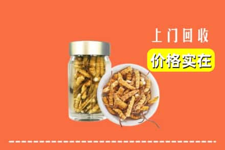 收购资讯:岱山县回收散虫草