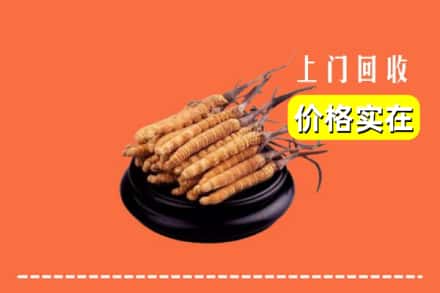 诚信求购:岱山县高价回收冬虫夏草